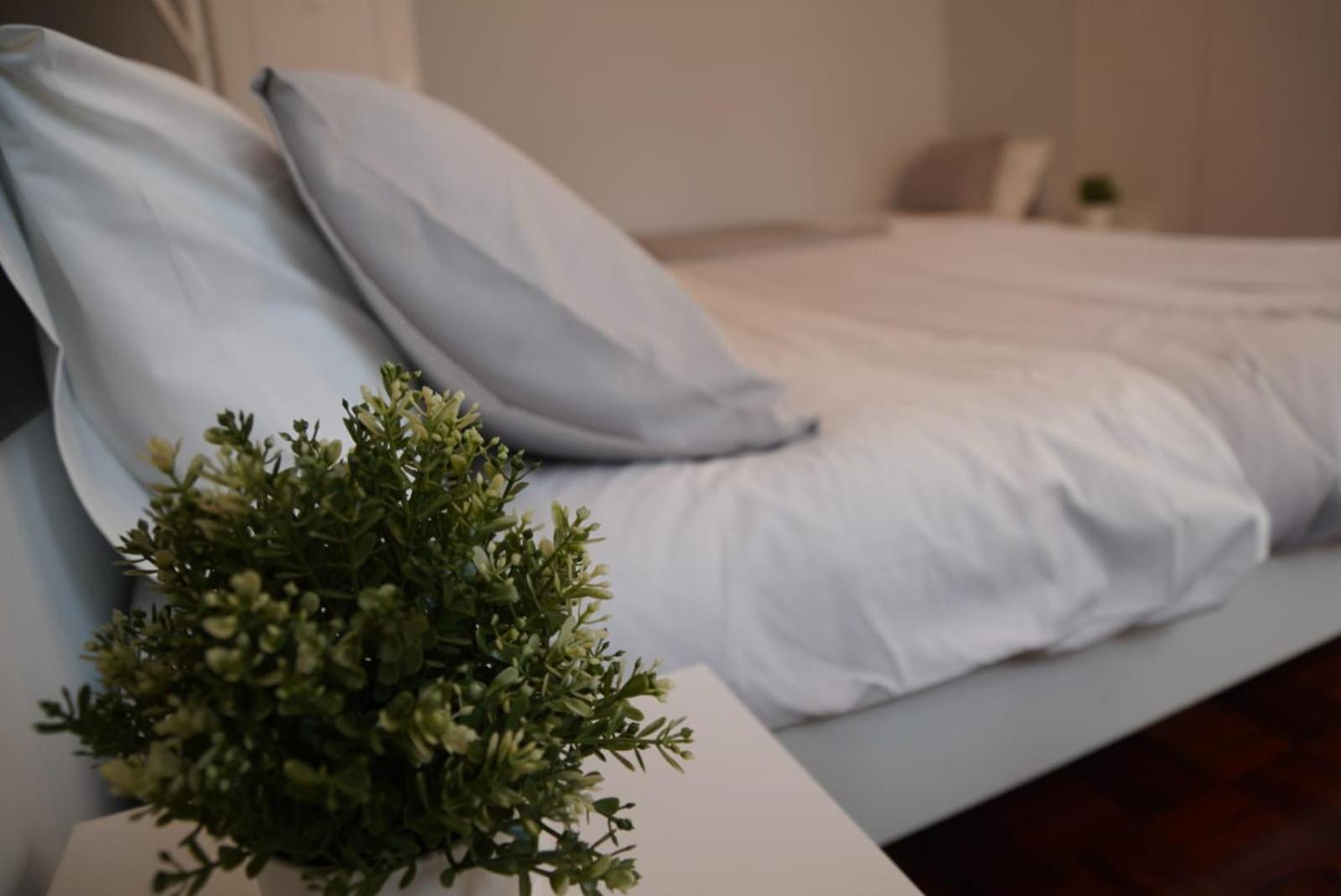 Bisengototo Homestay 리스본 외부 사진